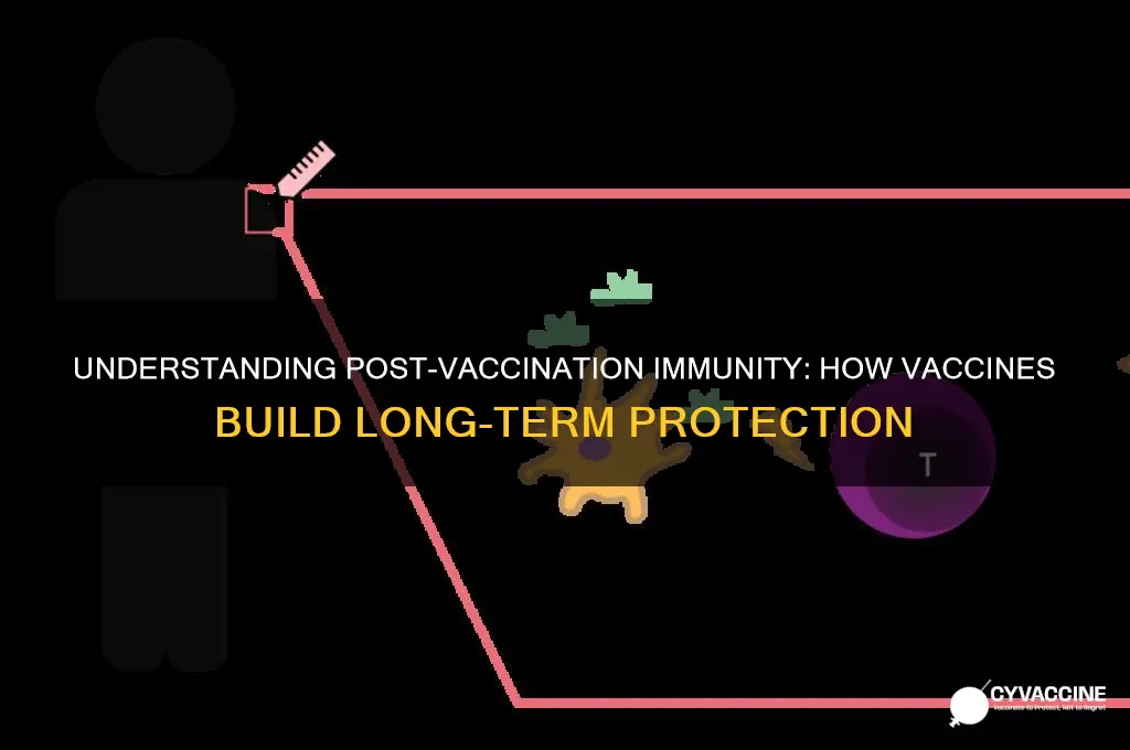 how does immunity develop after vaccination