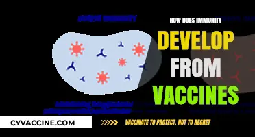 Understanding Vaccine-Induced Immunity: How Vaccines Strengthen Our Body's Defense