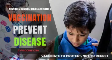 How Immunization (Vaccination) Protects Against Diseases: A Comprehensive Guide