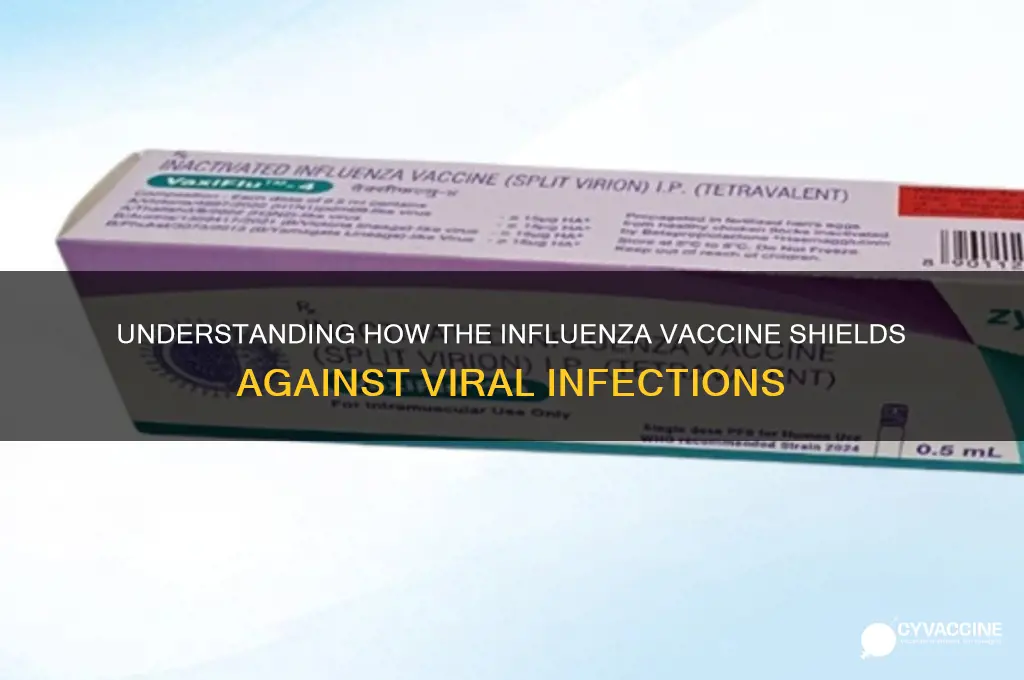 how does influenza vaccine prevent infection