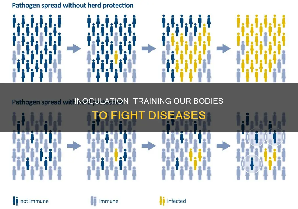 how does inoculation protect the body against infectious diseases