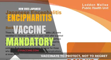 Is Japanese Encephalitis Vaccine Mandatory? Understanding Global Health Policies