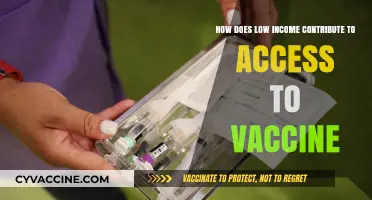 Low Income Barriers: How Poverty Limits Access to Vaccines