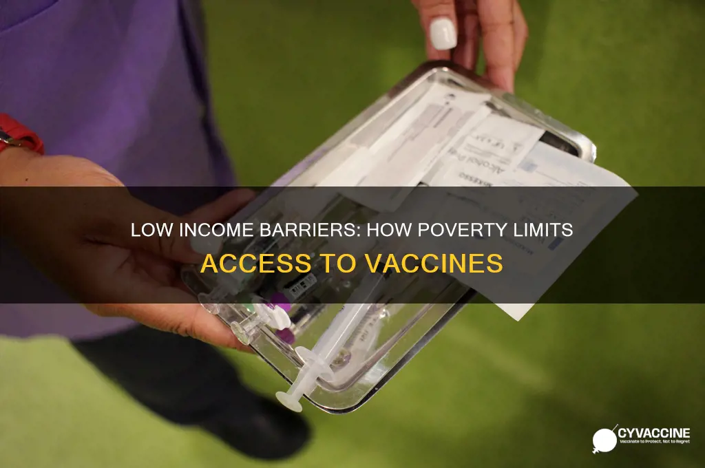 how does low income contribute to access to vaccine