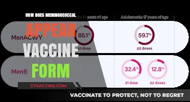 Understanding Meningococcal Vaccine Development: From Research to Injection