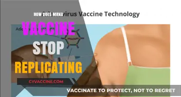 How mRNA Vaccines Halt Viral Replication: A Scientific Breakdown