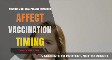 Natural Passive Immunity's Impact on Optimal Vaccination Timing Strategies