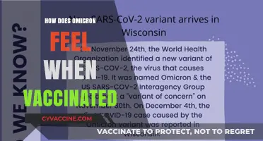 Vaccinated and Facing Omicron: Symptoms, Severity, and What to Expect