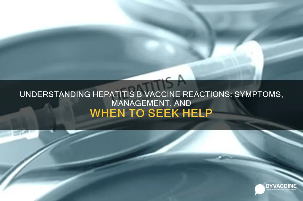 how does one react to the hepatitis b vaccine