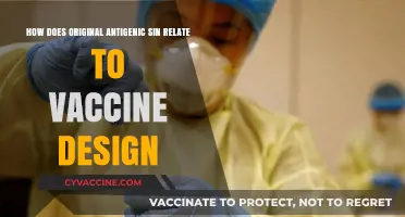 Original Antigenic Sin's Impact on Vaccine Design Strategies
