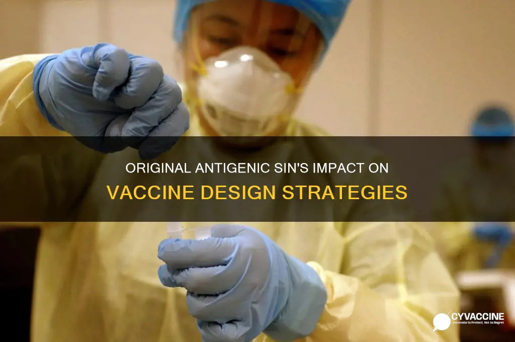 how does original antigenic sin relate to vaccine design