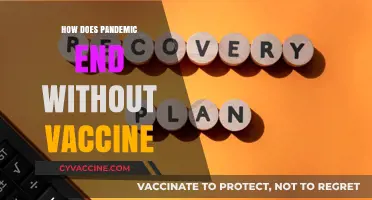 Ending the Pandemic: Strategies Beyond Vaccines for Global Recovery