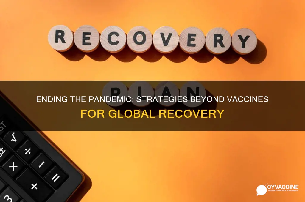 how does pandemic end without vaccine