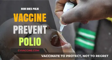 Understanding Polio Vaccine: How It Protects Against Polio Infection