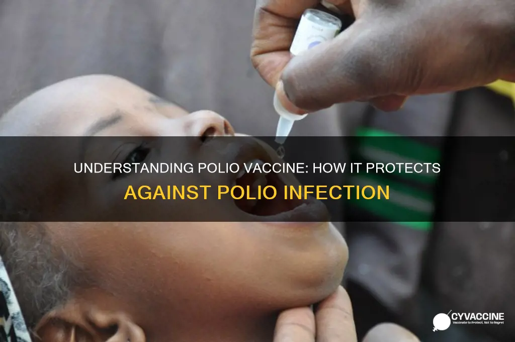 how does polio vaccine prevent polio