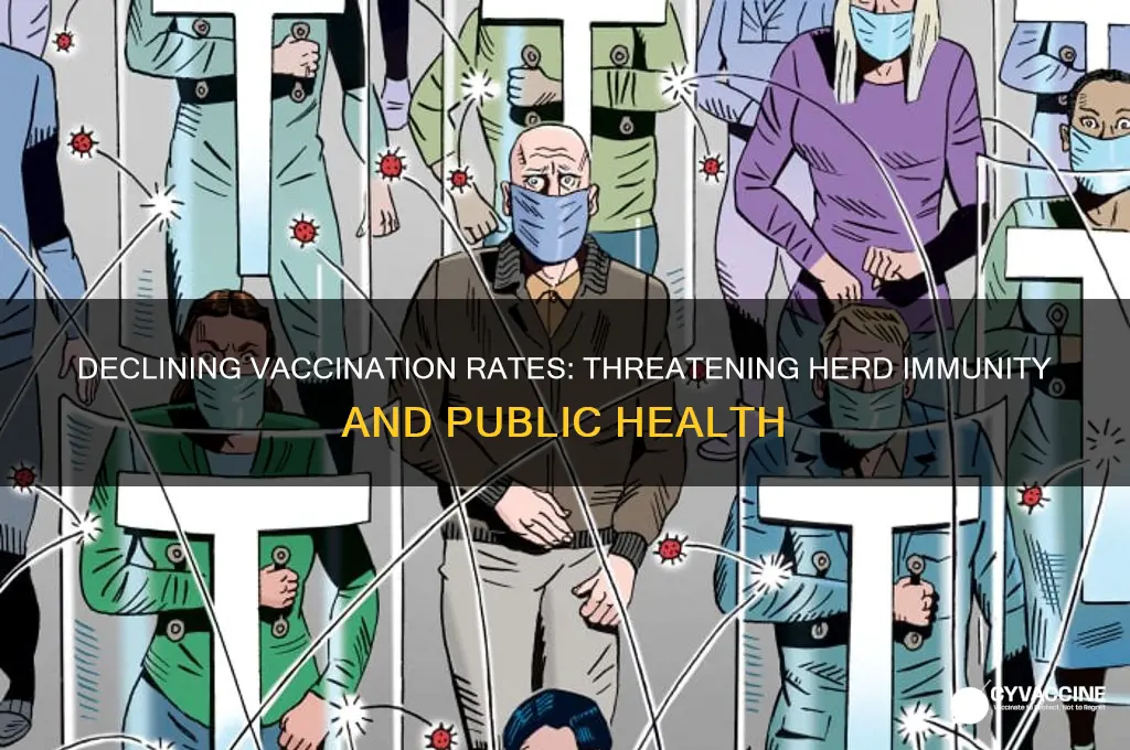 how does reduced vaccination rates impact herd immunity