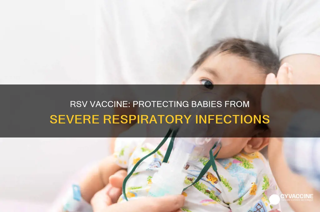 how does rsv vaccine help babies