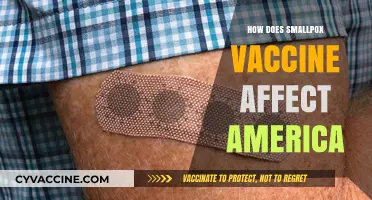 Smallpox Vaccine's Impact: Shaping America's Health and History