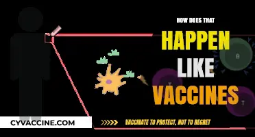 How Vaccines Work: Unraveling the Science Behind Immunization