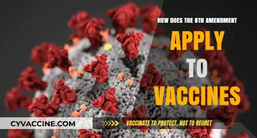 Unenumerated Rights and Vaccines: Exploring the 9th Amendment's Role