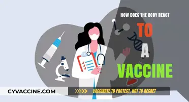 Understanding the Body's Immune Response to Vaccines: A Comprehensive Guide