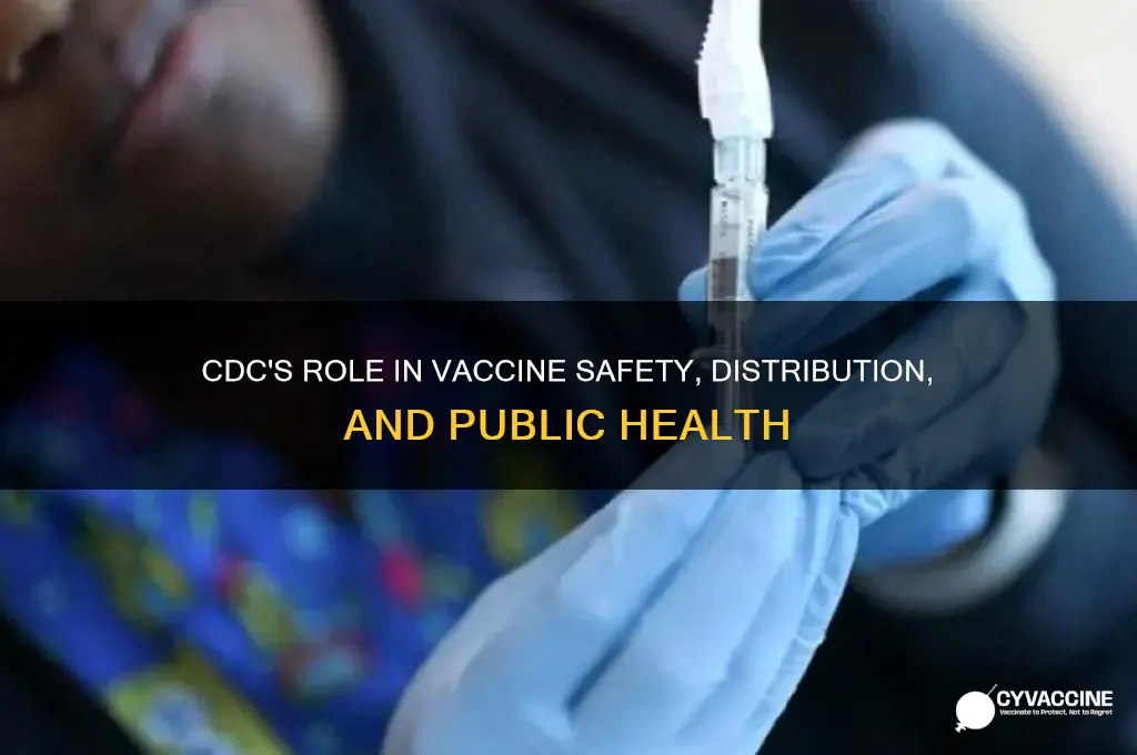 how does the cdc play a part in vaccines