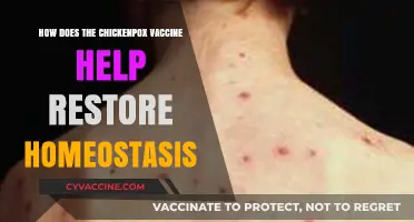 Chickenpox Vaccine: Restoring Immune Balance and Bodily Homeostasis