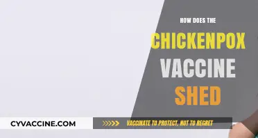 Understanding Chickenpox Vaccine Shedding: Facts, Risks, and Safety Measures