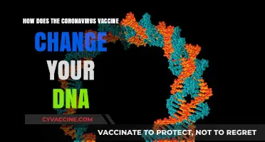 Does the Coronavirus Vaccine Alter Your DNA? Separating Fact from Fiction