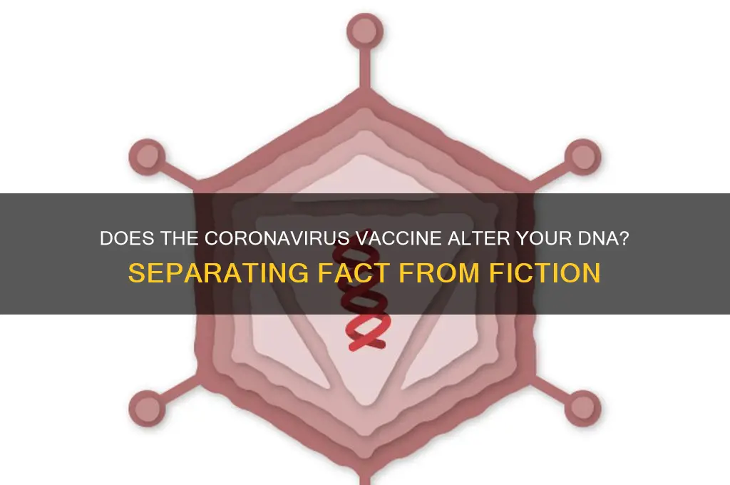 how does the coronavirus vaccine change your dna