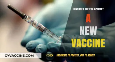 FDA Vaccine Approval Process: Steps, Safety, and Scientific Rigor Explained
