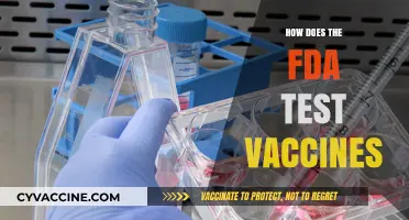 Understanding the FDA's Rigorous Vaccine Testing and Approval Process