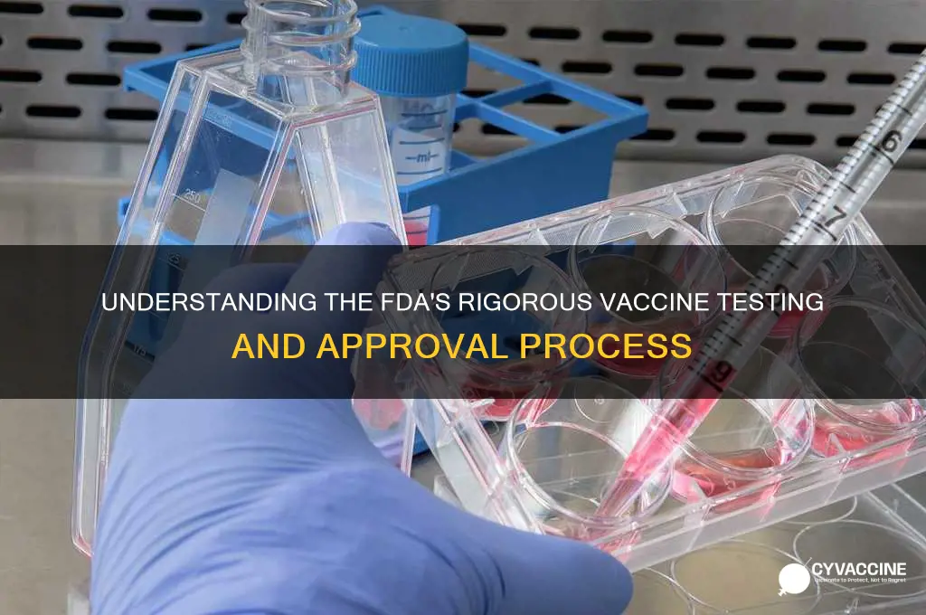 how does the fda test vaccines