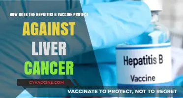 Hepatitis B Vaccine: A Powerful Shield Against Liver Cancer