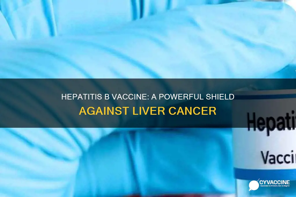 how does the hepatitis b vaccine protect against liver cancer