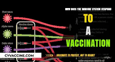 Understanding Immune System Response to Vaccinations: A Comprehensive Guide