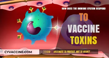 Immune System's Defense: Responding to Vaccine Toxins and Ensuring Safety