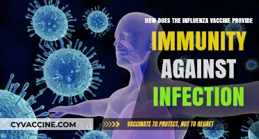 Understanding Influenza Vaccine: How It Builds Immunity Against Infection