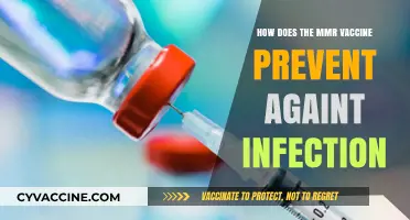 MMR Vaccine: How It Shields Against Measles, Mumps, and Rubella Infections