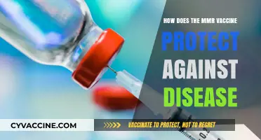 MMR Vaccine: How It Shields Against Measles, Mumps, and Rubella