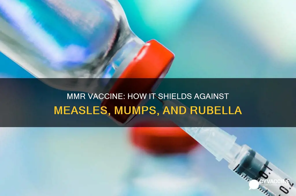 how does the mmr vaccine protect against disease