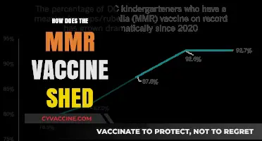 Understanding MMR Vaccine Shedding: Myths, Facts, and Safety Concerns