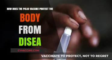 Understanding the Polio Vaccine: How It Shields Your Body from Disease