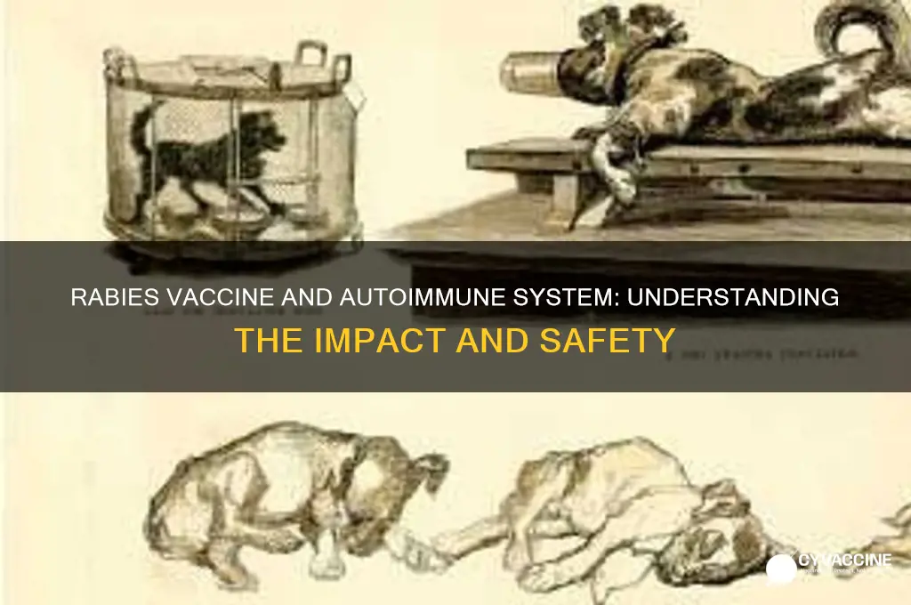 how does the rabies vaccine affect your autoimmune system