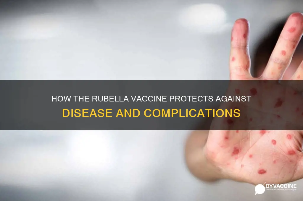 how does the rubella vaccine help