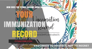 Tetanus Vaccine Documentation: How It Appears on Immunization Records