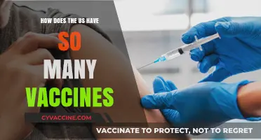 How the US Achieved Rapid COVID-19 Vaccine Development and Distribution