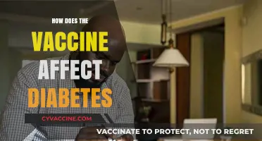 Vaccines and Diabetes: Understanding the Impact on Blood Sugar Control