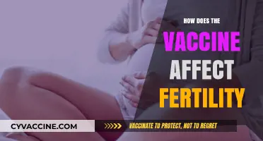 Vaccines and Fertility: Separating Myths from Scientific Facts