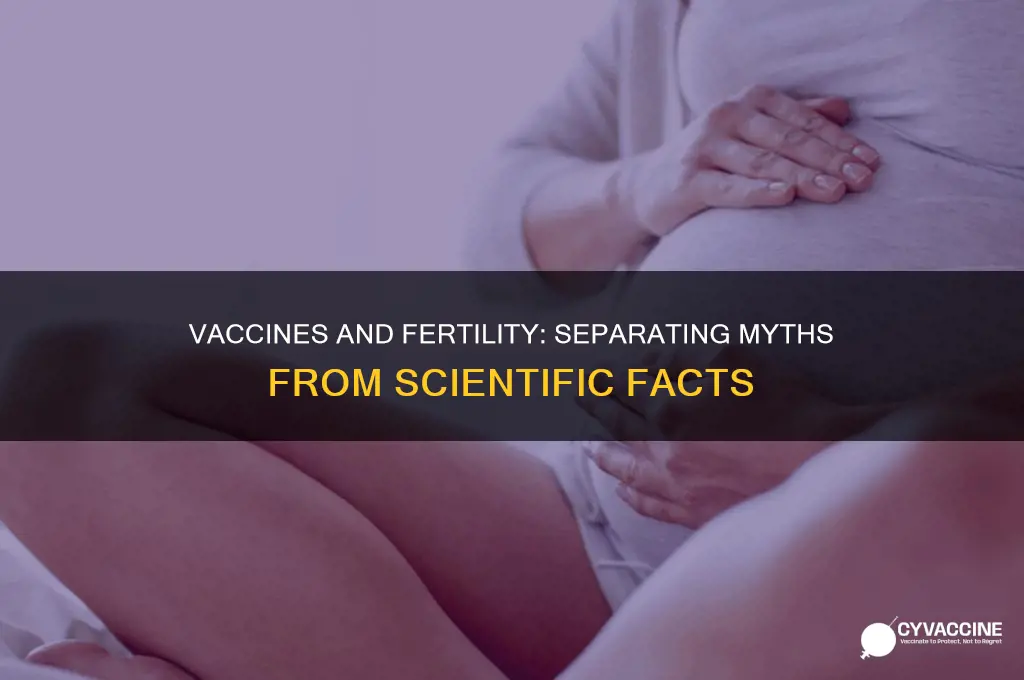 how does the vaccine affect fertility